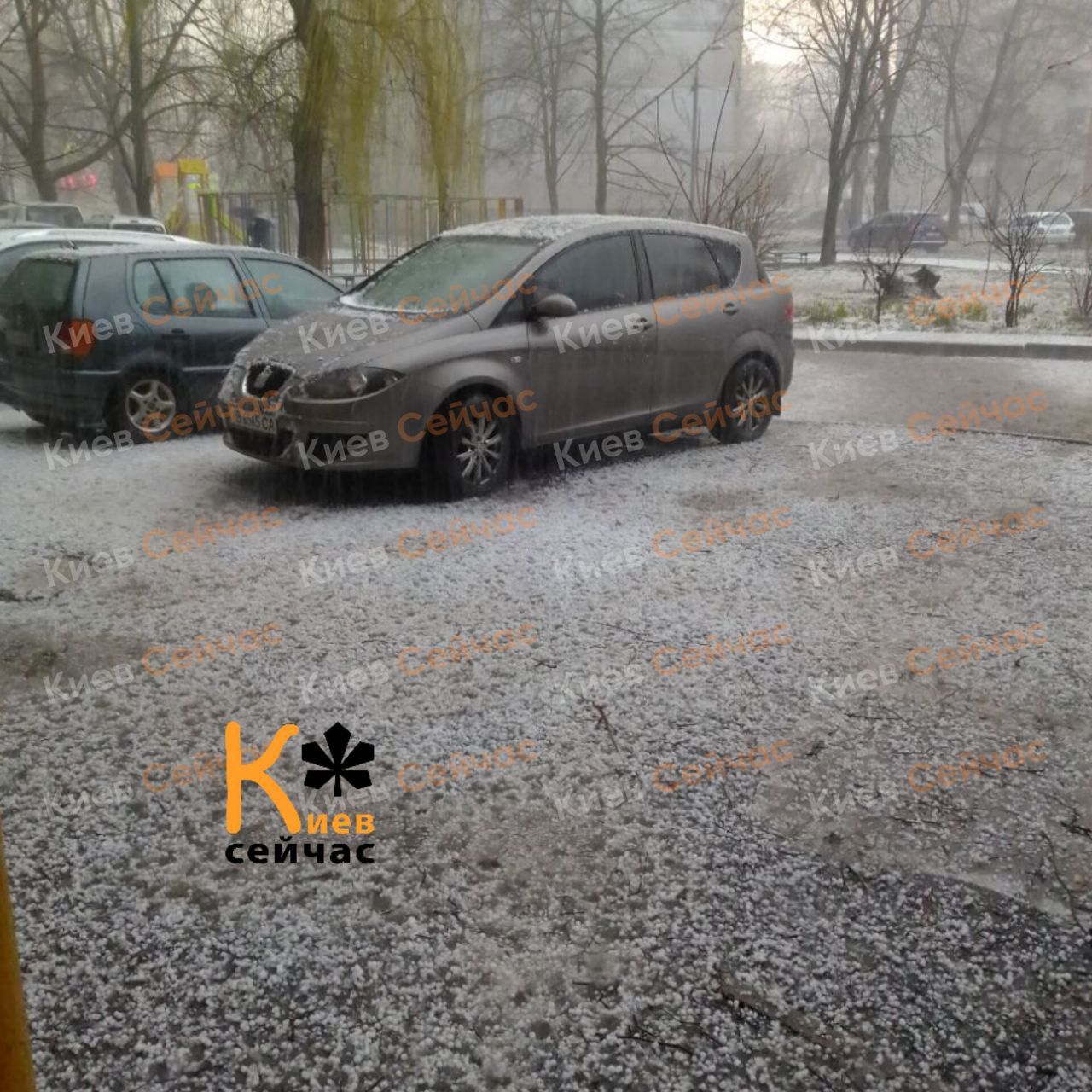 З темних хмар повалив сніг З темних хмар повалив сніг