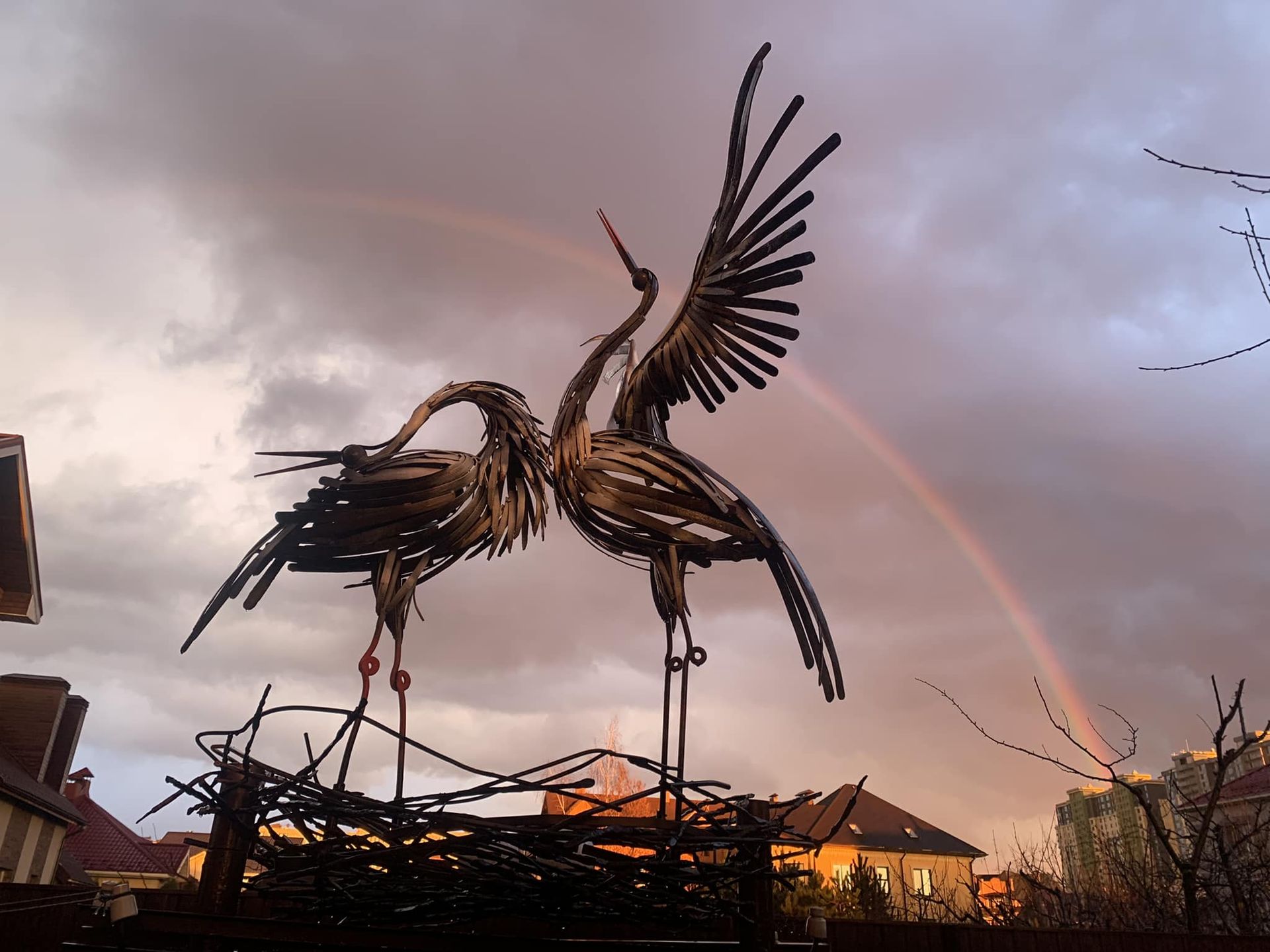 Веселка над лелеками Веселка над лелеками