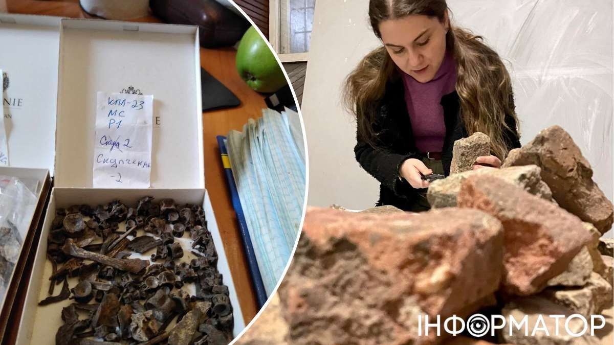 Проводят биоархеологические исследования, на фото слева – кости с места раскопа. Фото: Сергей Тараненко