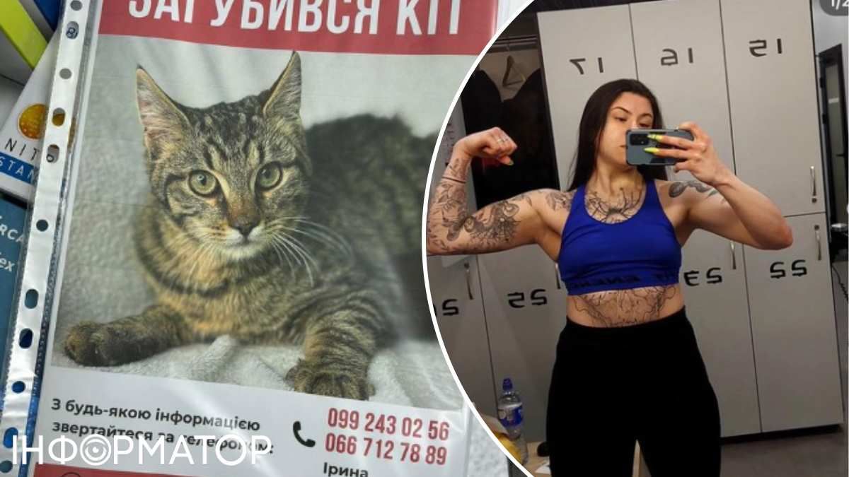 Зоозащитники говорят: как только владелица сообщила, что кот исчез, - начали расклеивать объявления