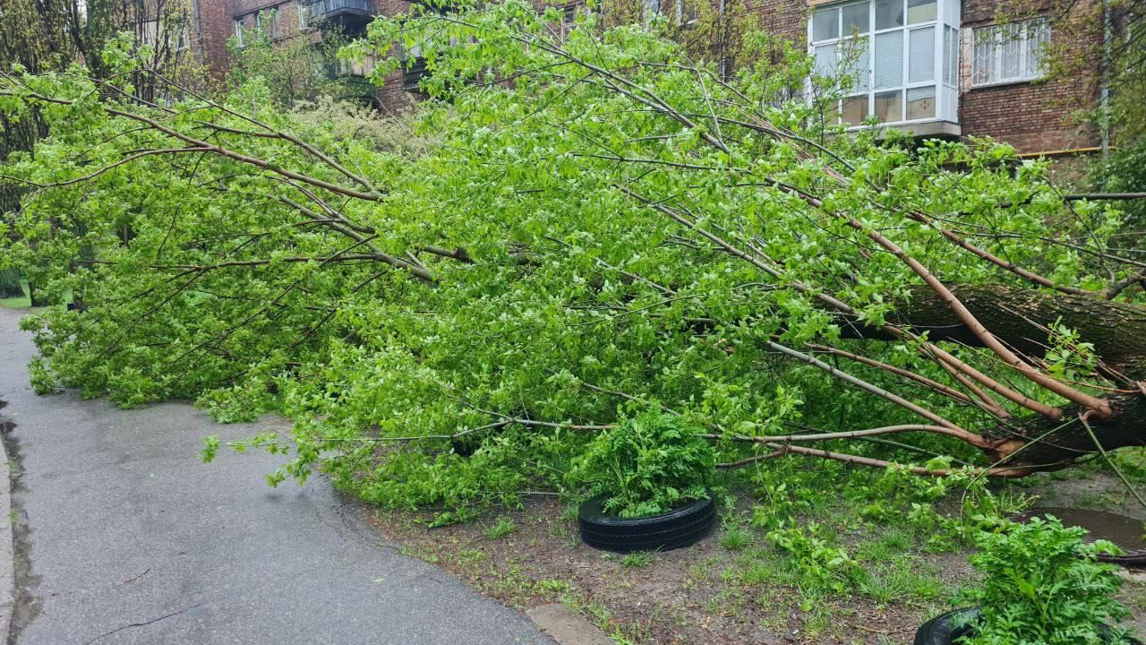 У Києві та області вирує негода: вітер вириває з корінням дерева, по вулиці попливли машини 2