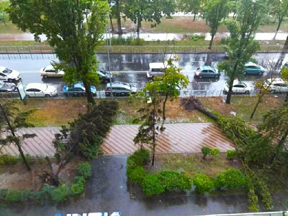 У Києві та області вирує негода: вітер вириває з корінням дерева, по вулиці попливли машини 1