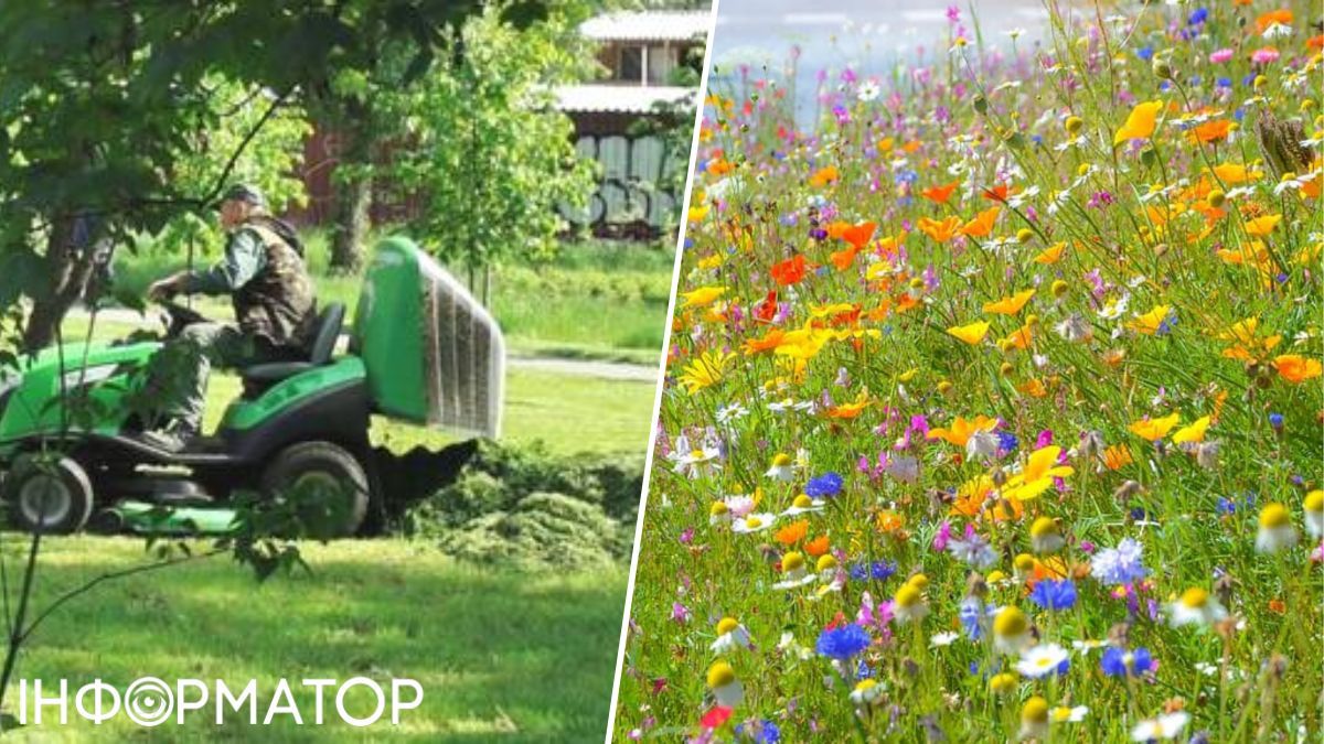 Киевзеленстрой, озеленение