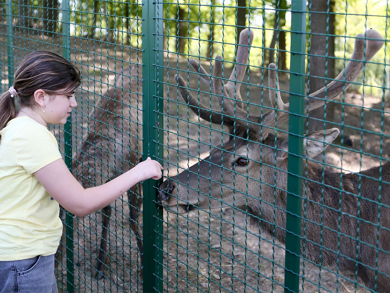 Григорій Козловський та Emily Resort влаштували свято для дітей загиблих захисників 6