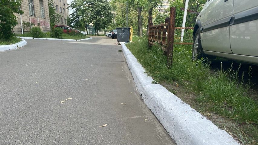 Кияни просять Кличка заборонити фарбувати бордюри в білий колір