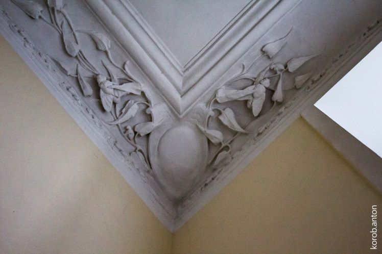 Будинок цікавий ліпниною у вигляді комах.