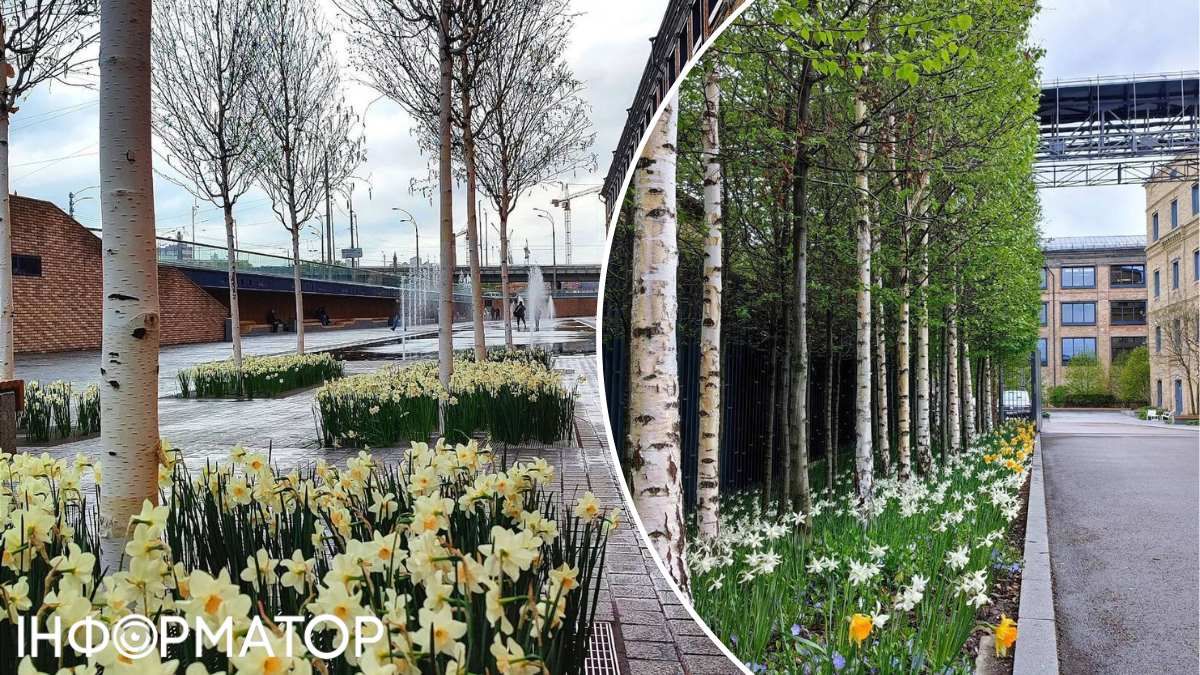 Променад возле БЦ "Рошен Плаза" - это одна из самых стильных и малопосещаемых прогулочных зон Киева