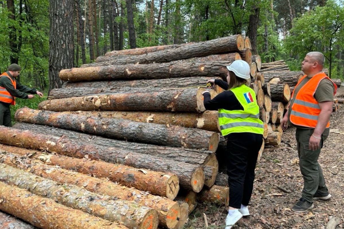 Агенты УЭБ осуществили контроль передачи реализованной необработанной древесины покупателю Киевской области 2