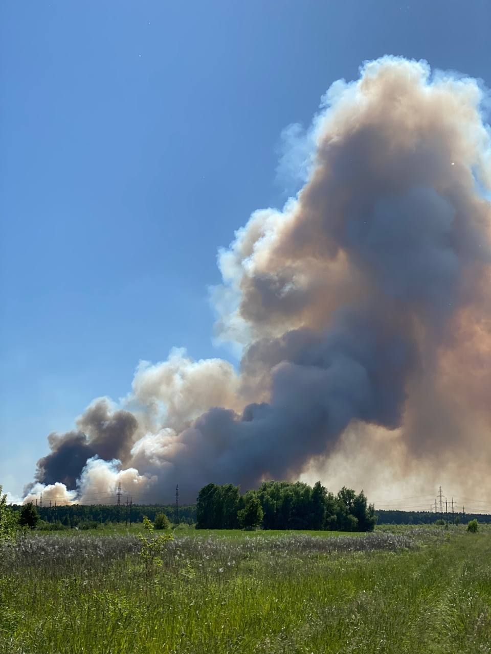 Над Києвом величезна хмара диму, схожа на ядерний гриб, через масштабну лісову пожежу 2
