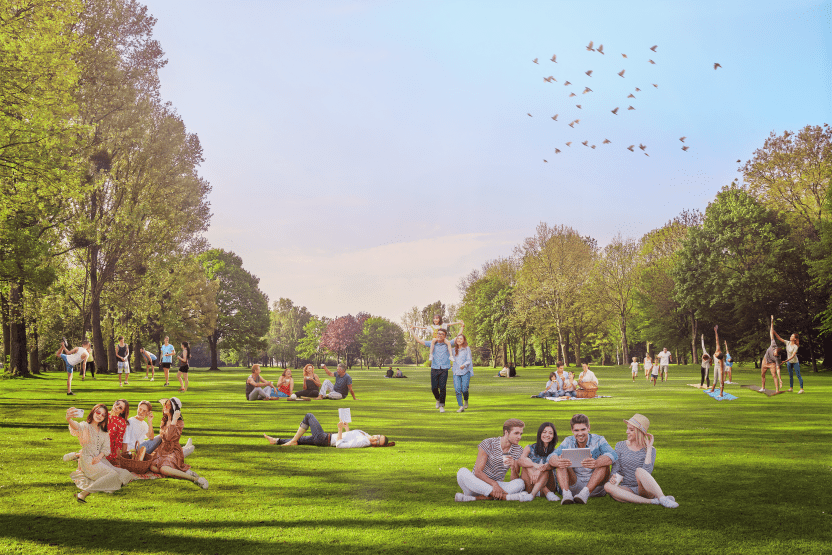 Суд Києва зупинив будівництво поблизу Солом’янського парку: що трапилося 3