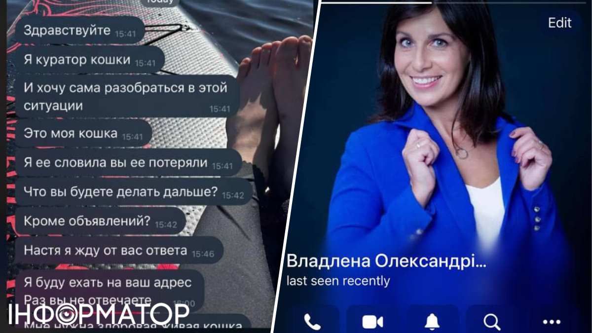 Переписка с кураторшей кошки, которая изъявила желание приехать к журналистке домой, и фото Виктории Пташник, которое использовали в качестве фотографии контакта