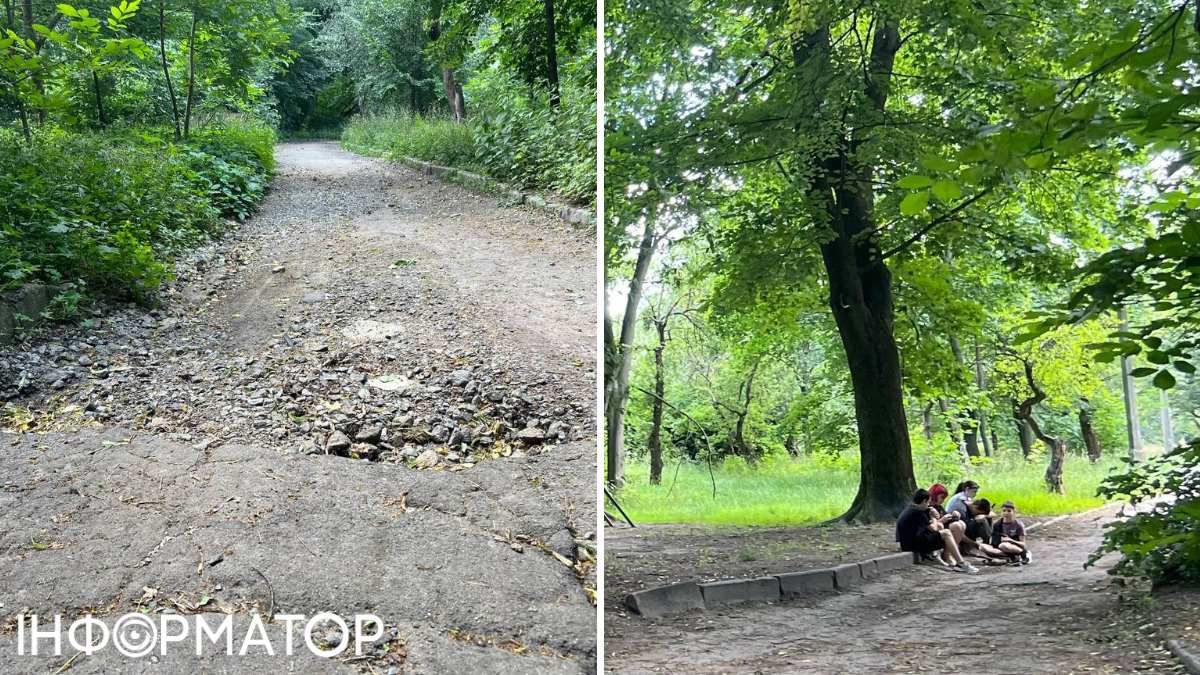 Дальня, "дика", частина парку порожня - тут, як правило, майже немає народу: гуляють лише діти та собачники