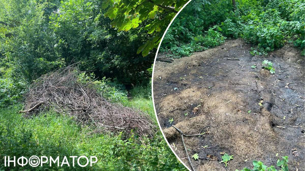 Схоже, місцеві садівники розважаються, як можуть - правда, парком все це називати можна лише через наявність тут дерев