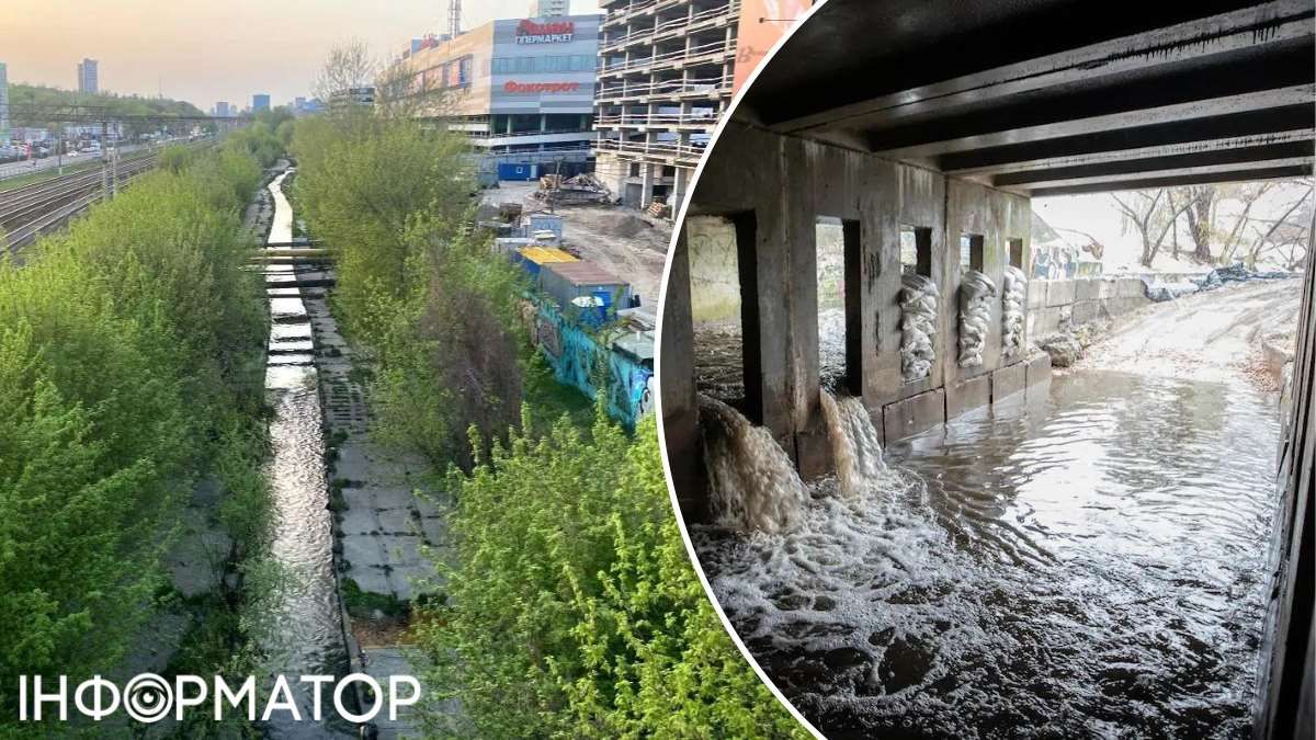 Петиція Віталій Кличко річка Либідь