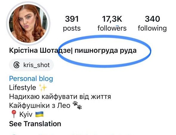 Скрин профиля блоггерки