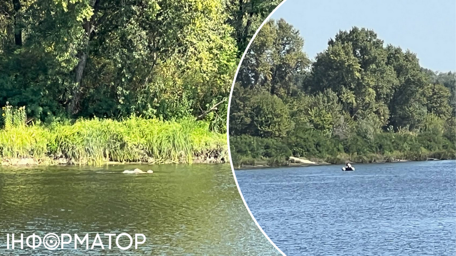 Поклонников плавания вывилось только двое, и те на противоположном берегу