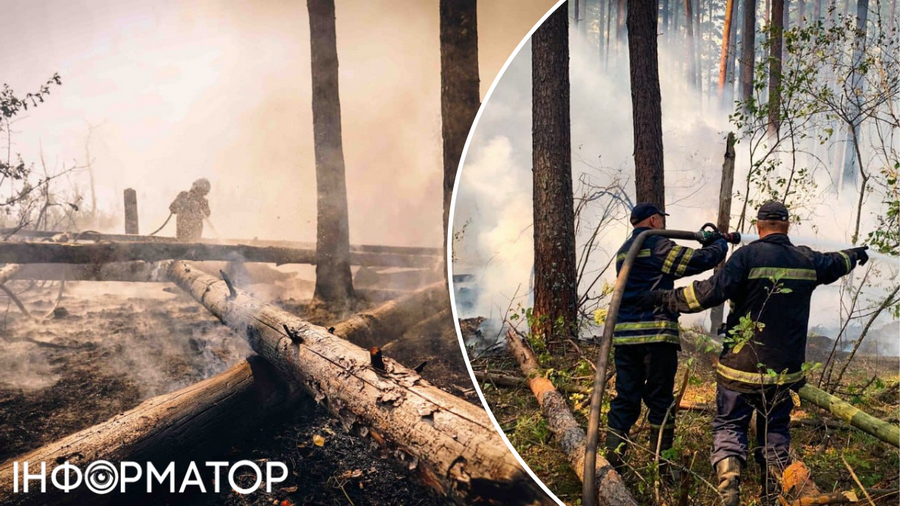 Боротися из осередками вогню рятувальникам доводиться і в лісництвах Боротися из осередками вогню рятувальникам доводиться і в лісництвах