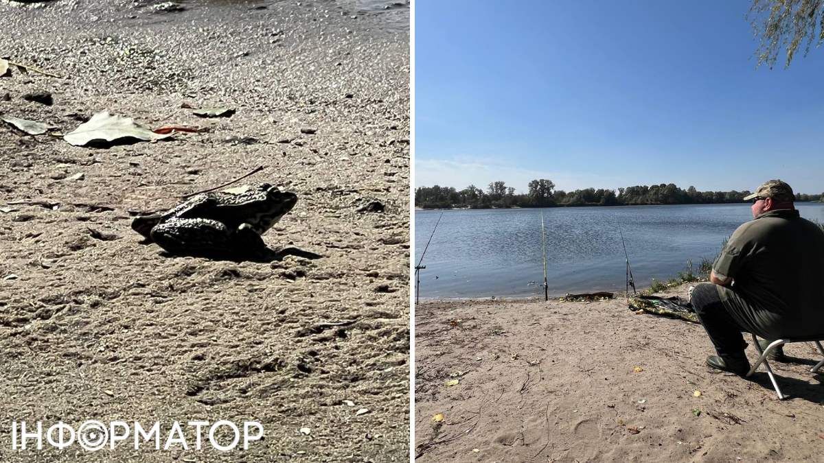Рибалка Андрій, єдиний на цілому березі, каже, що вода в річці чиста, а ми на власні очі бачили щасливих кумок та іншу місцеву фауну