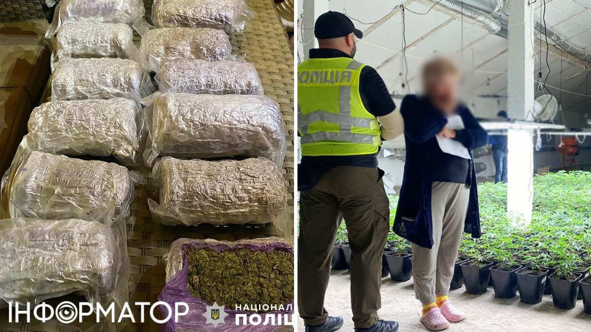 Для вирощування канабісу в "фермерів" були добре обладнані приміщення