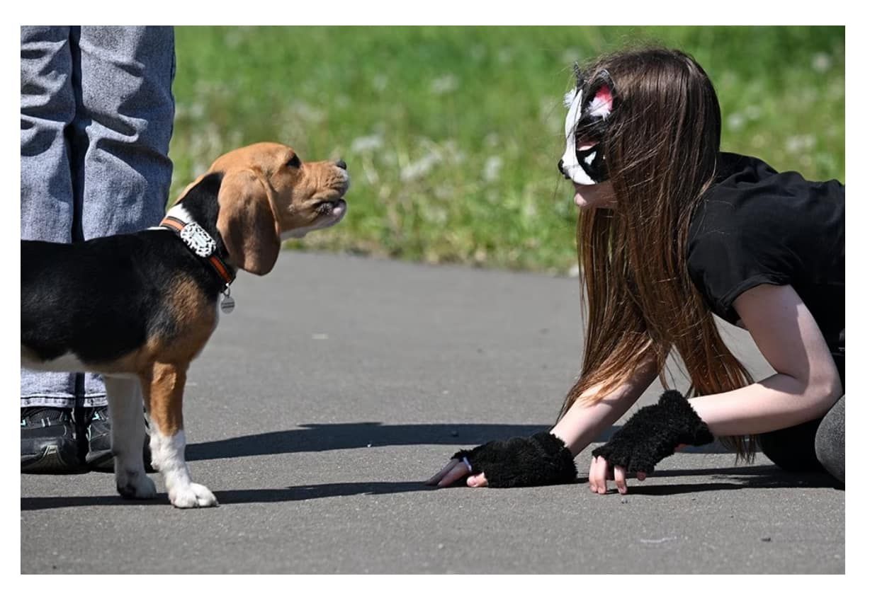 квадробер 2