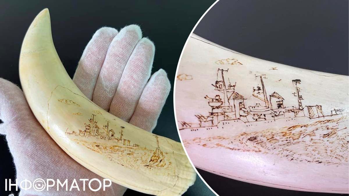 Митниця поштове відправлення зуб кашалота