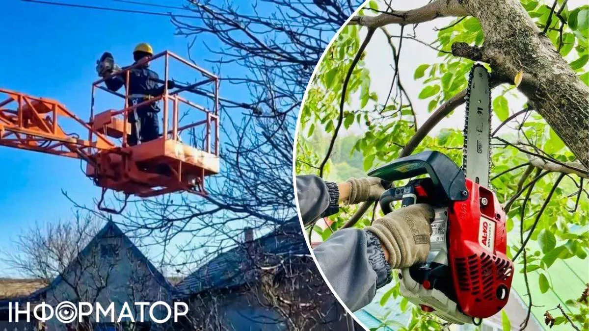 ДТЕК енергетики гілки Київська область