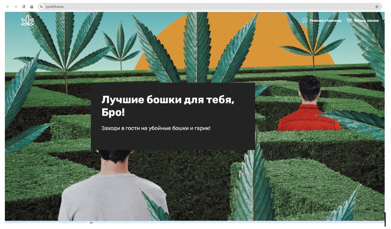 После расследования о сыне депутата Владимире Горковенко закрылся онлайн-магазин KYIV420, торговавший марихуаной 1