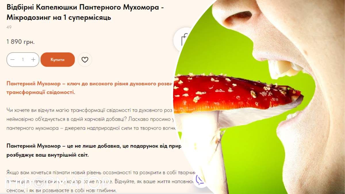 Маркетологи мухомори продаж Київ