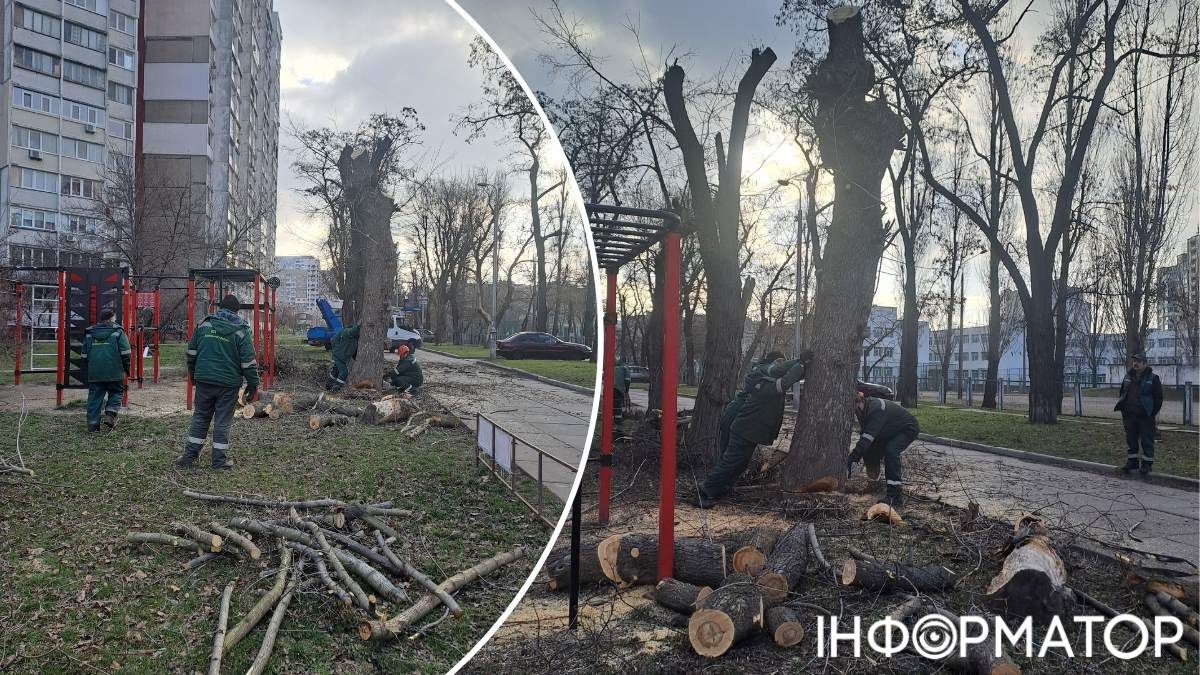 На перший погляд, дерева кронують (що саме по собі є шкідливим) - але потім зрізають і стовбури