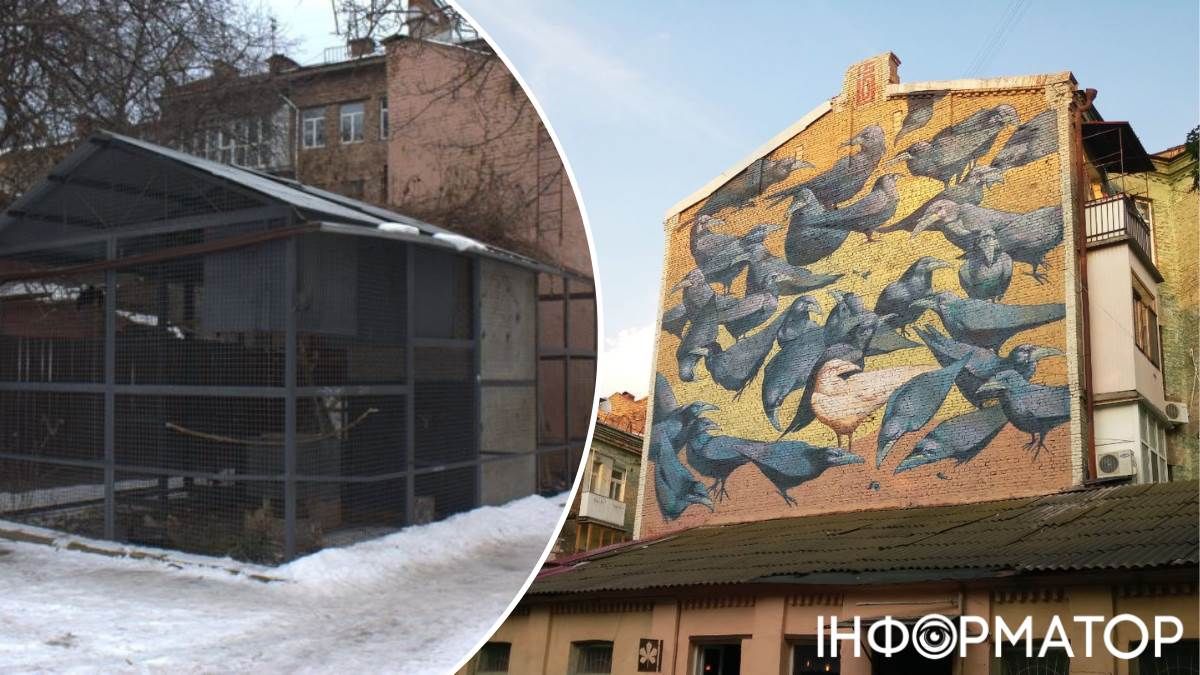 Дворик з воронами забудова