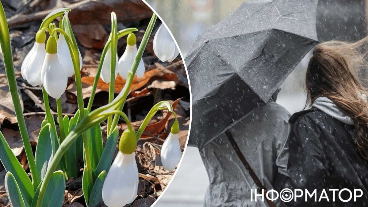 весна погода дождь похолодание