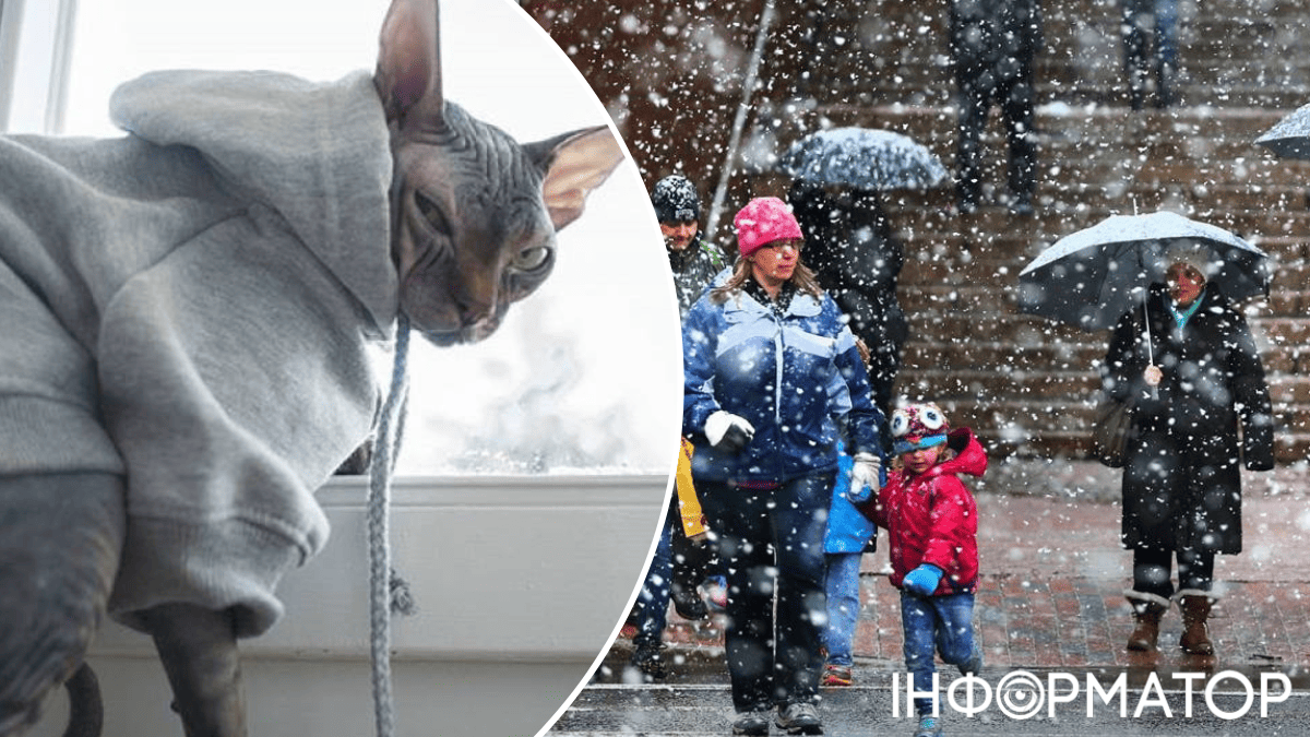 петиція опалення похолодання