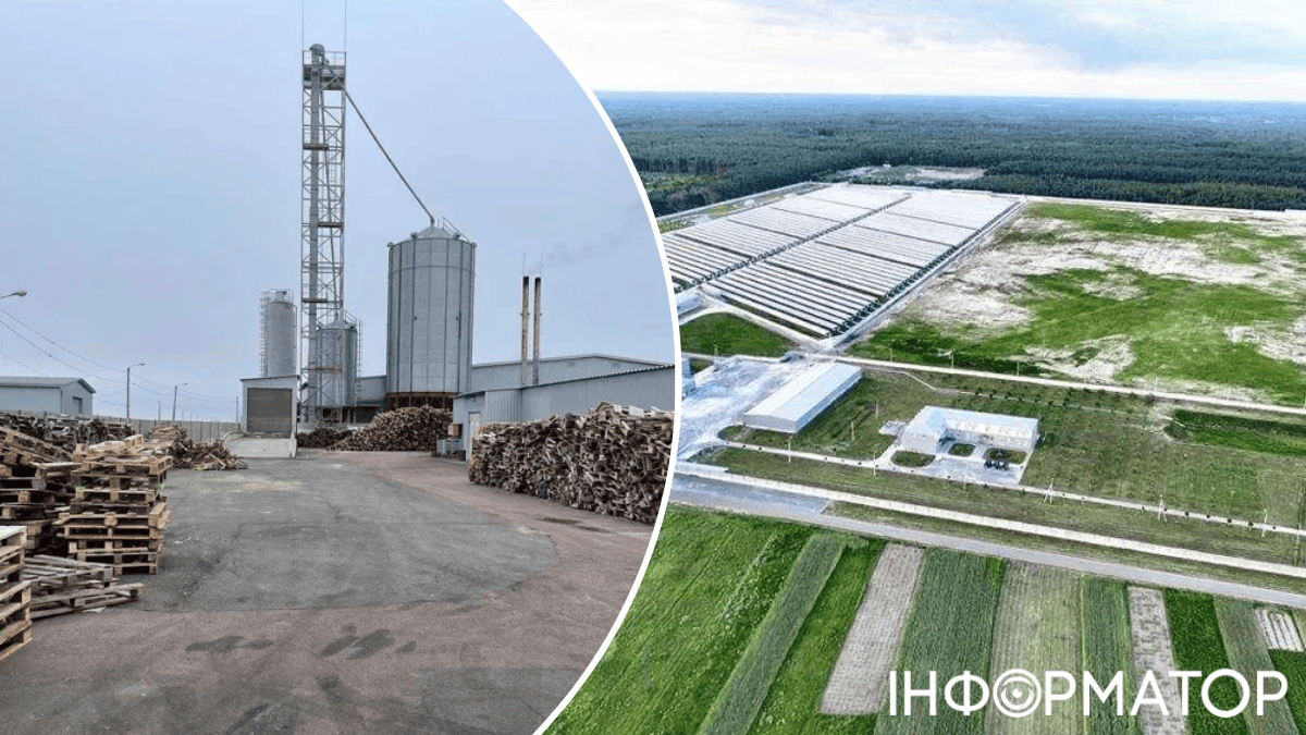 За 6 млн евро новый владелец получает ферму, занимающую более 47 га, и 50% корпоративных прав