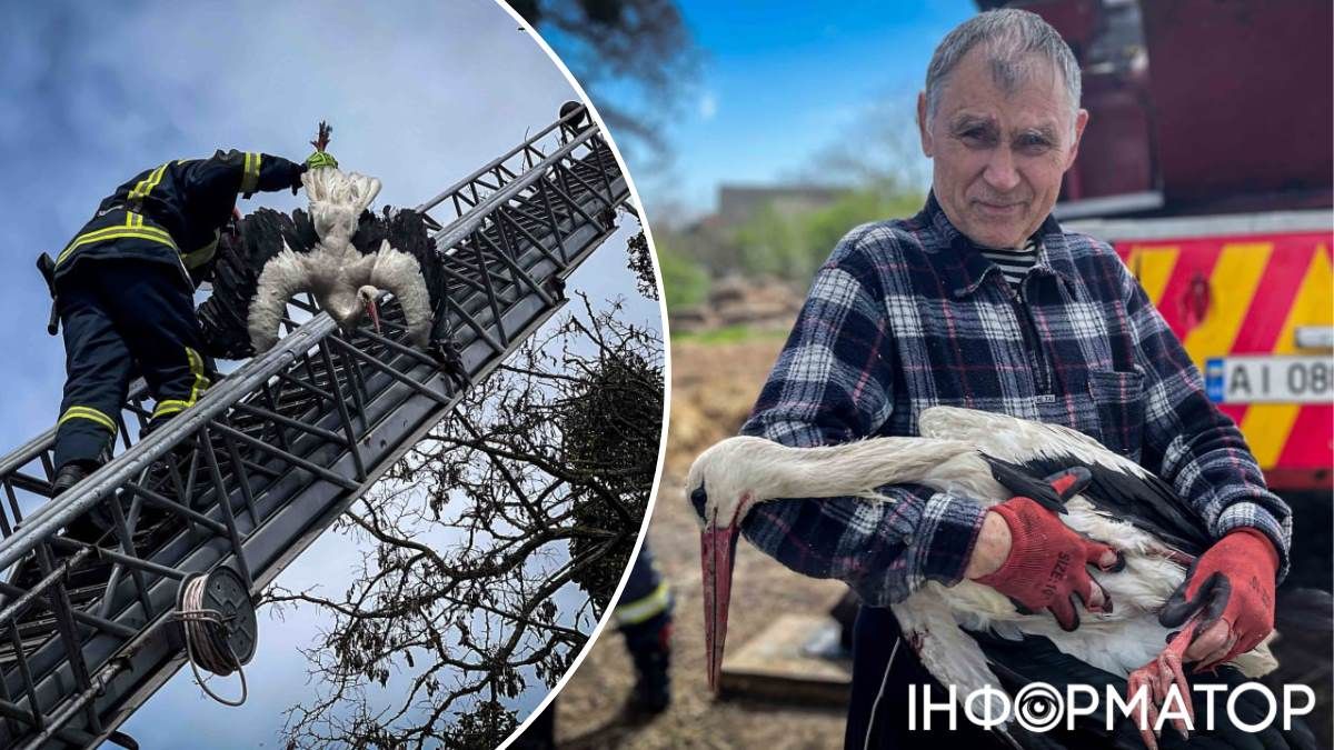Лелека ДСНС рятувальники