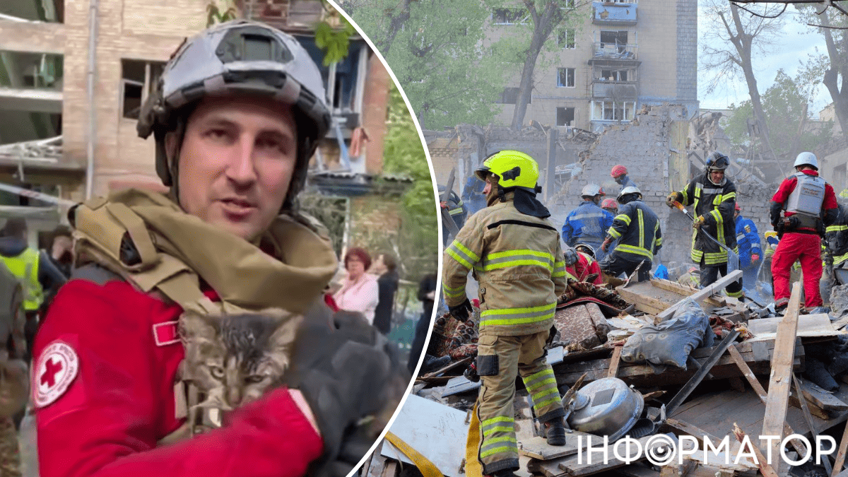 Спасатели надеются найти владельцев котика, которого нашли под завалами