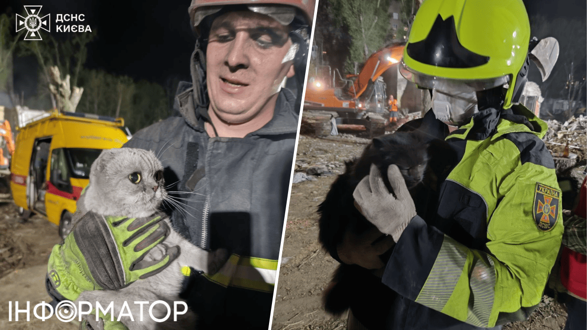 тварини ДСНС порятунок тварин