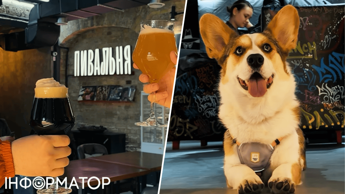 ресторан пиво тварини