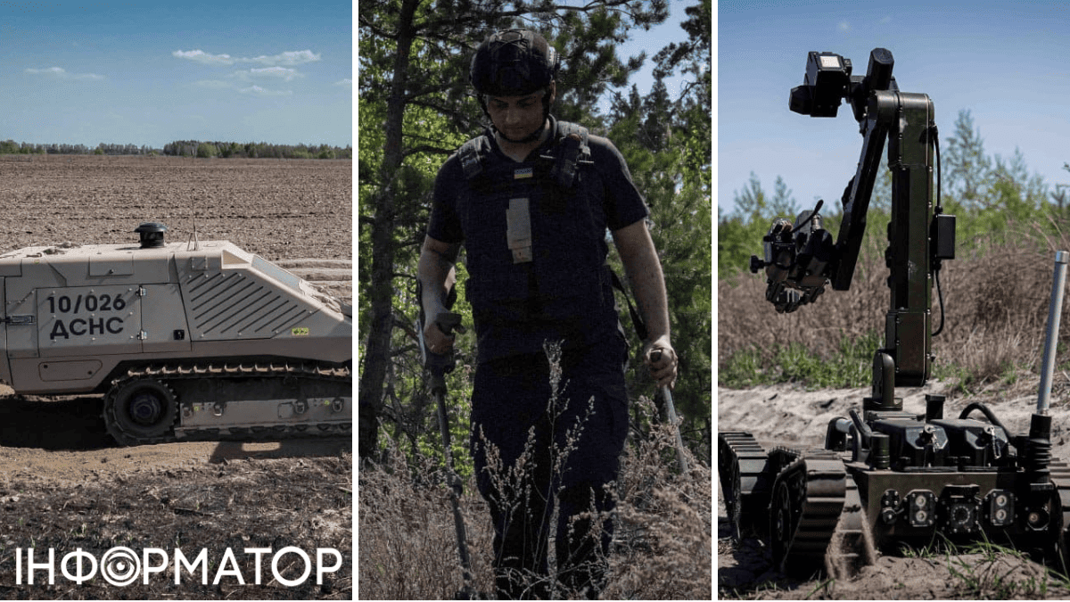 ДСНС розмінування територій