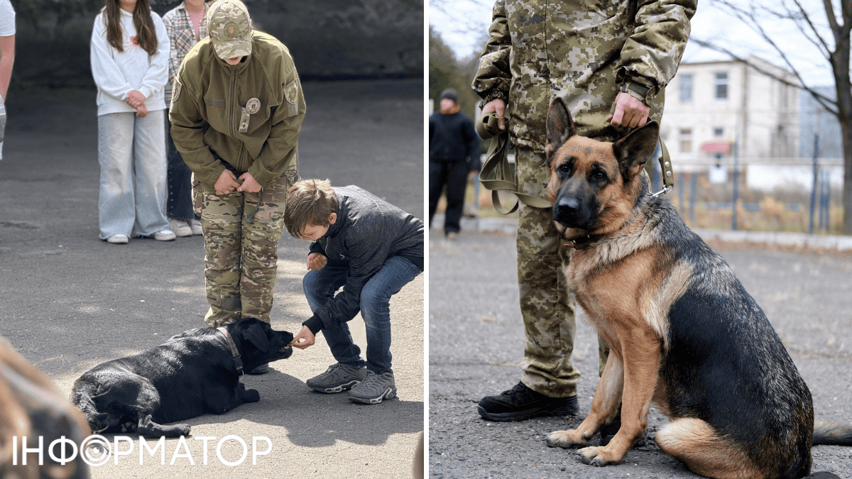 діти тварини кінологи собаки