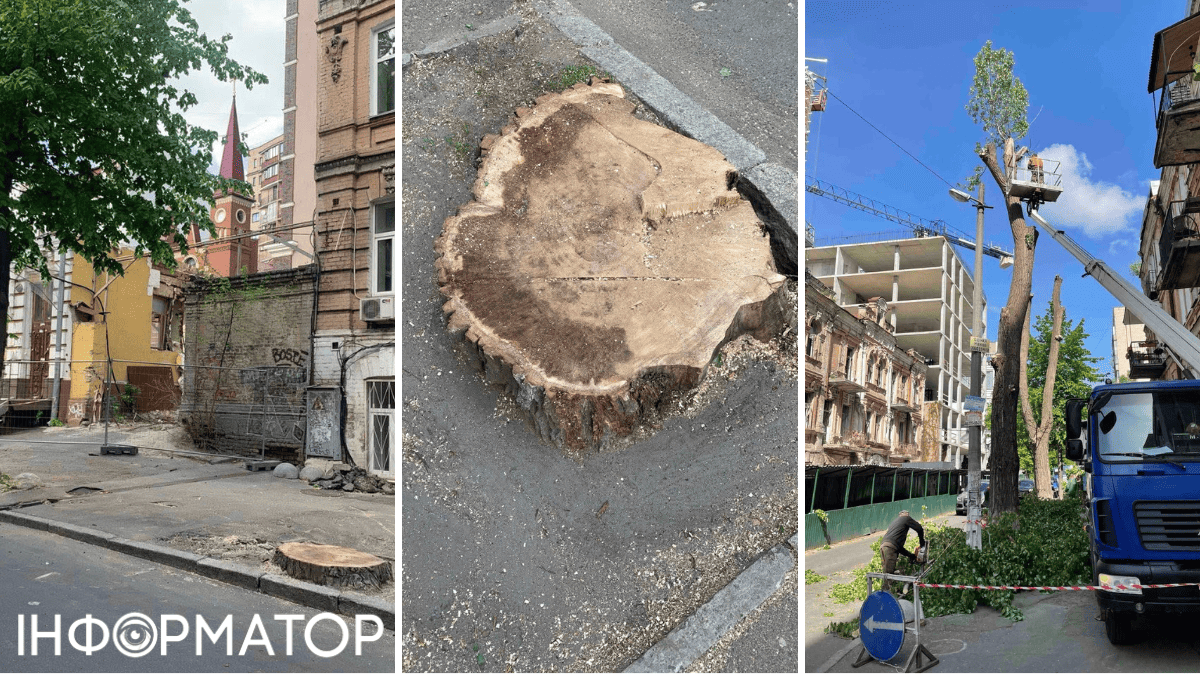 Віталій Кличко петиція Київзеленбуд