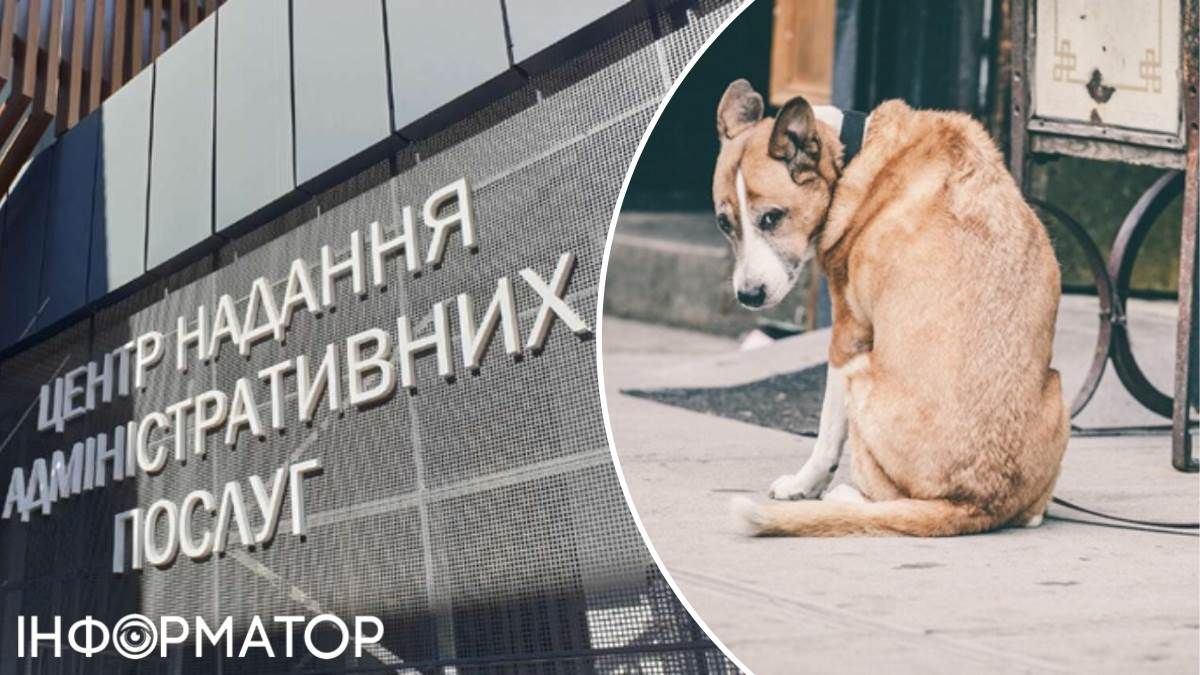 ЦНАП тварини реєстрація собака