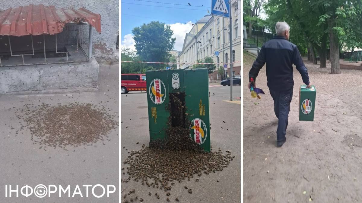 ДСНС