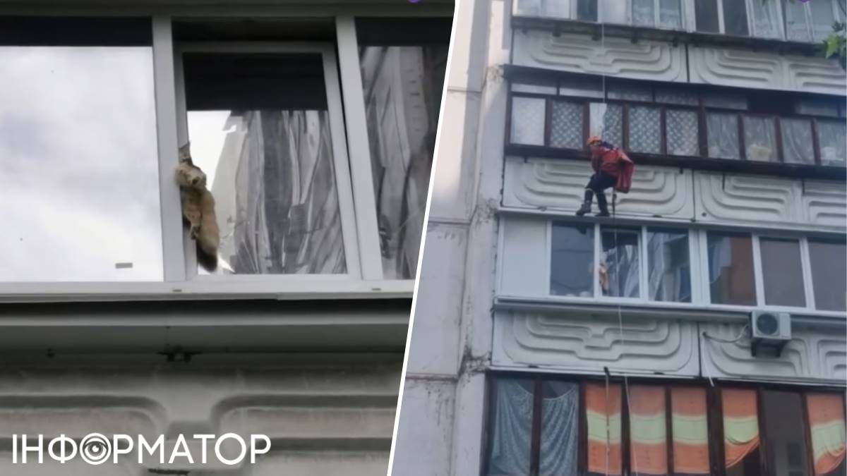 зоозащитники