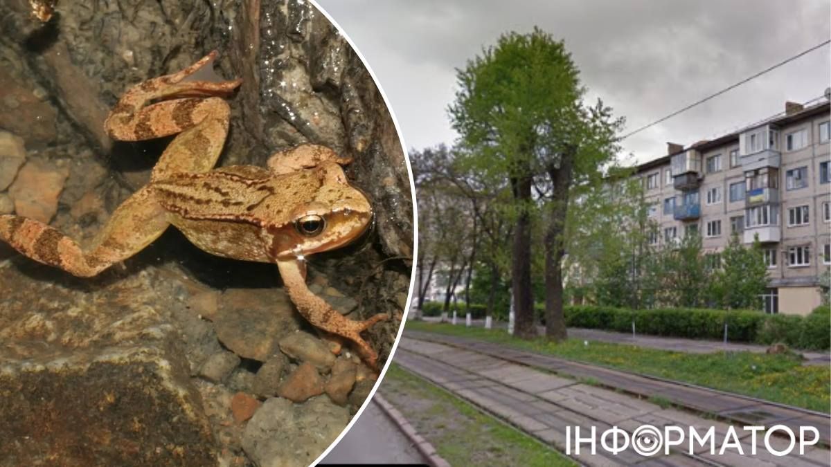 Киевский горсовет
