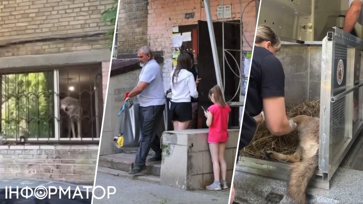 зоозащитники