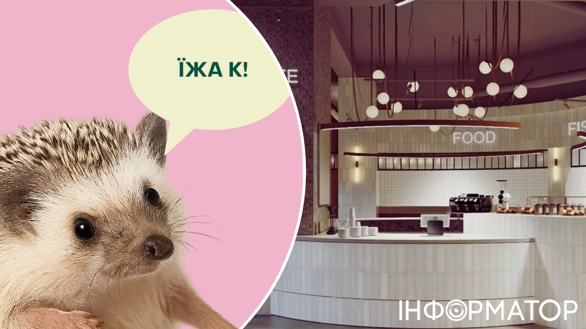 гастропростір ресторани їжа