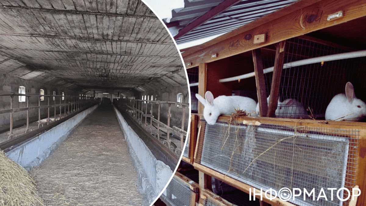 продаж нерухомість ферми агробізнес