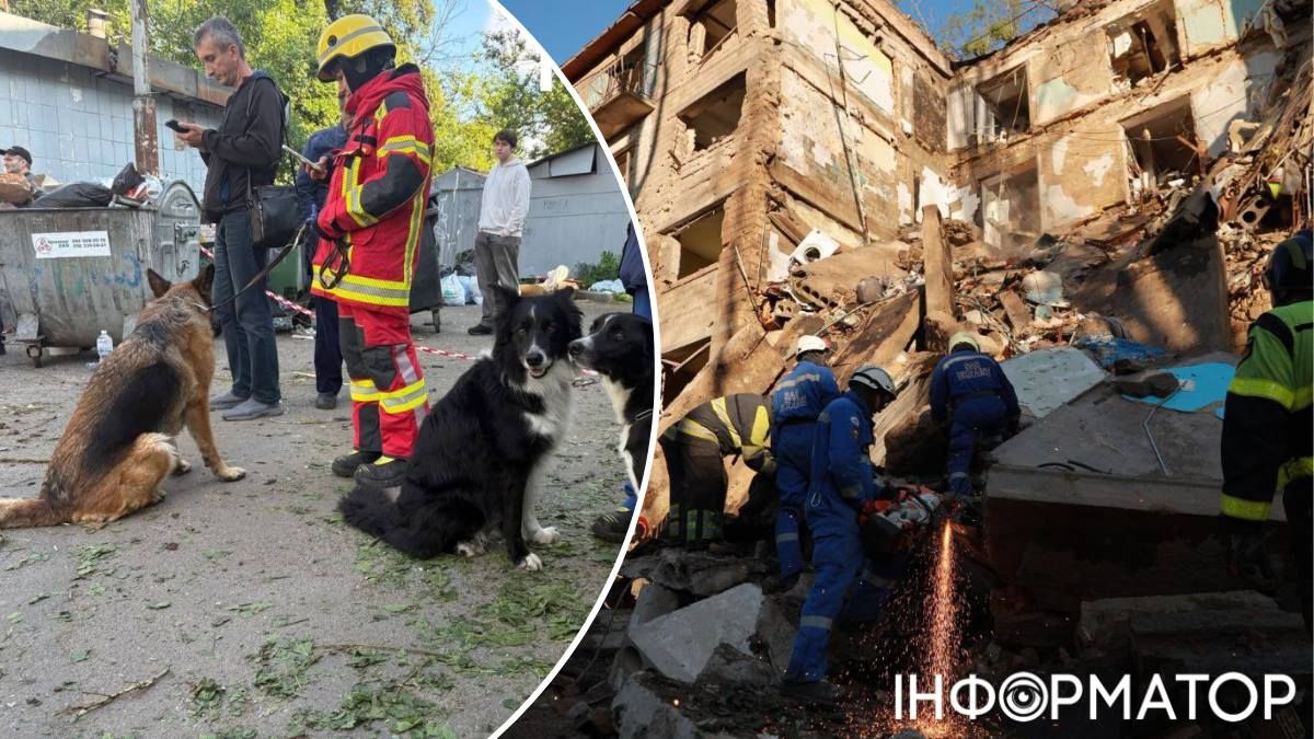 На місці, де розбирають завали, працюють кінологи з собаками. Фото: 24 канал