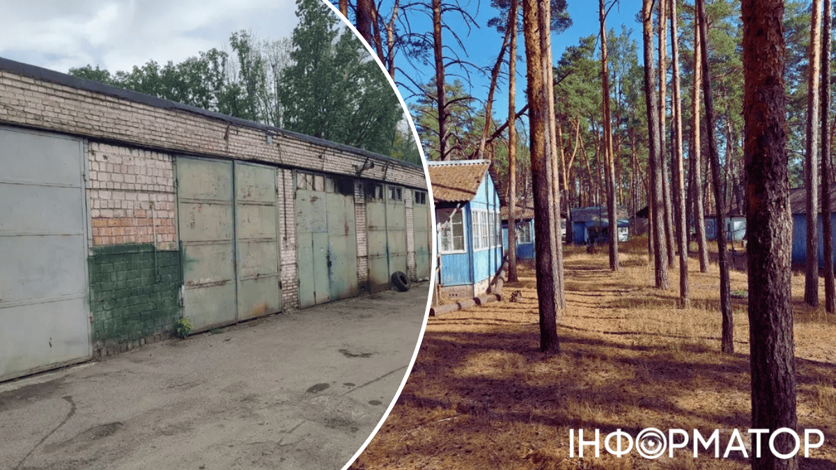 До лоту входить гараж у Києві, складські приміщення, п’ять будинків відпочинку в селі Вища Дубечня на Київщині До лоту входить гараж у Києві, складські приміщення, п’ять будинків відпочинку в селі Вища Дубечня на Київщині