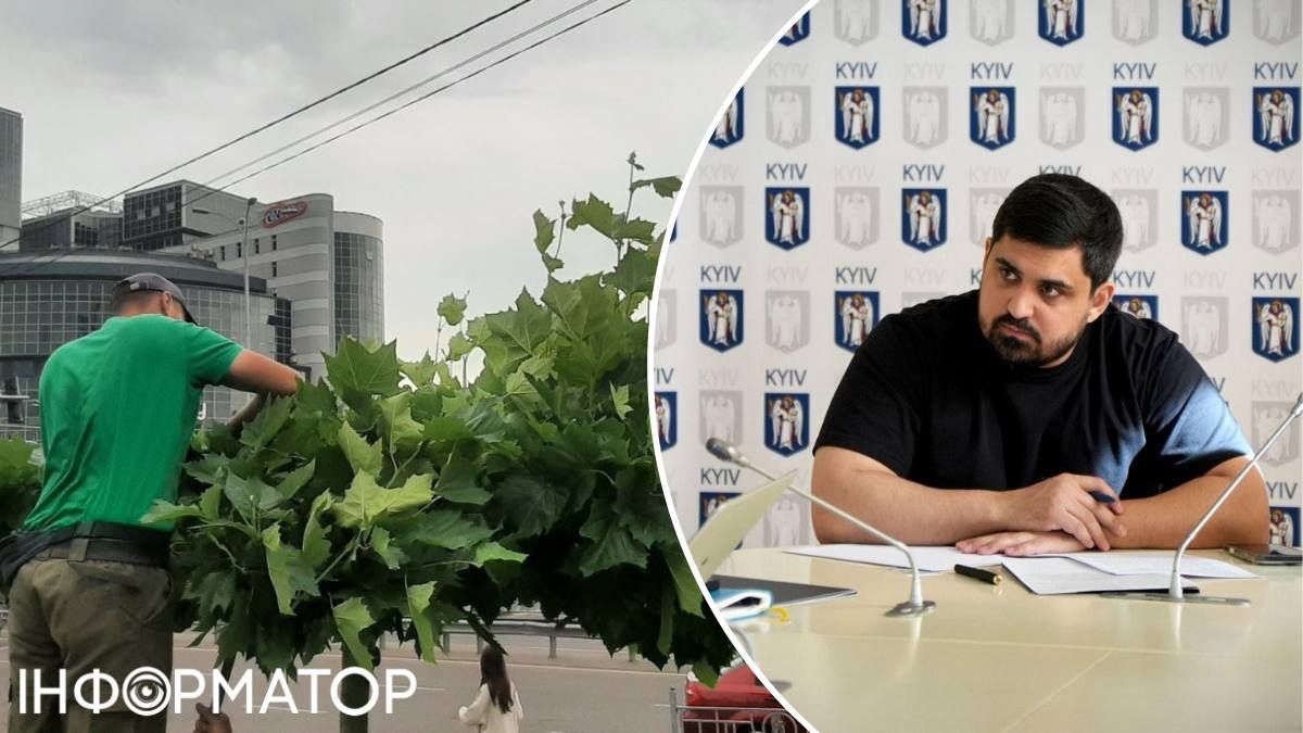 Тимур Ткаченко КП УЗН обрезка платанов